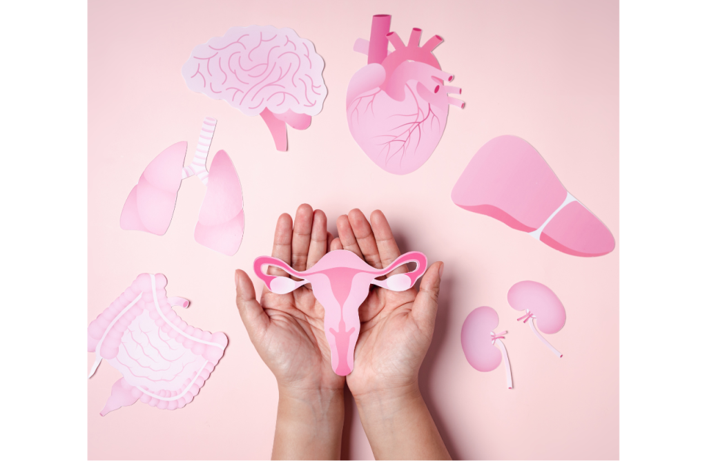 Sex and medicine illustration showing female sexual health care, medical treatment, and wellness support for women